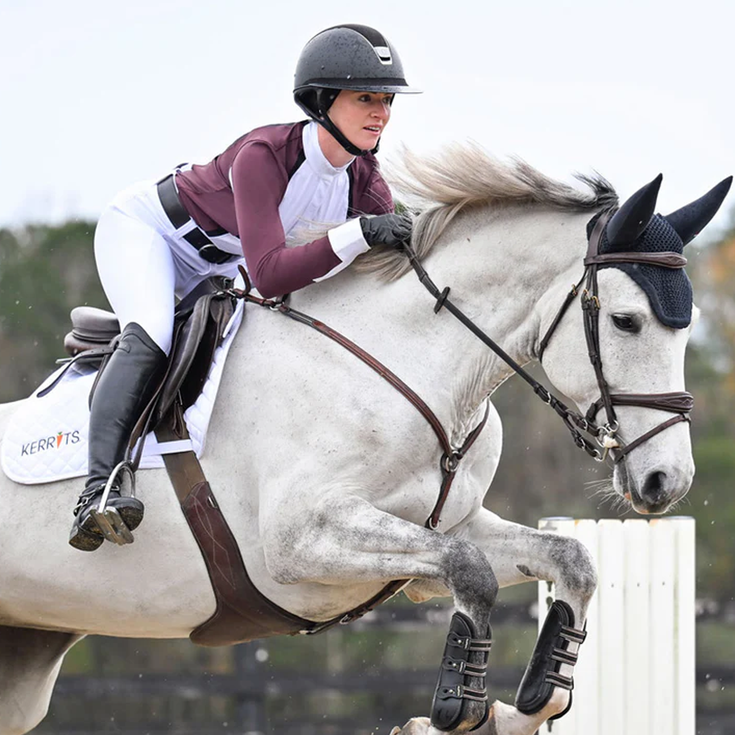 Affinity Pro Silicone Knee Patch Riding Breech