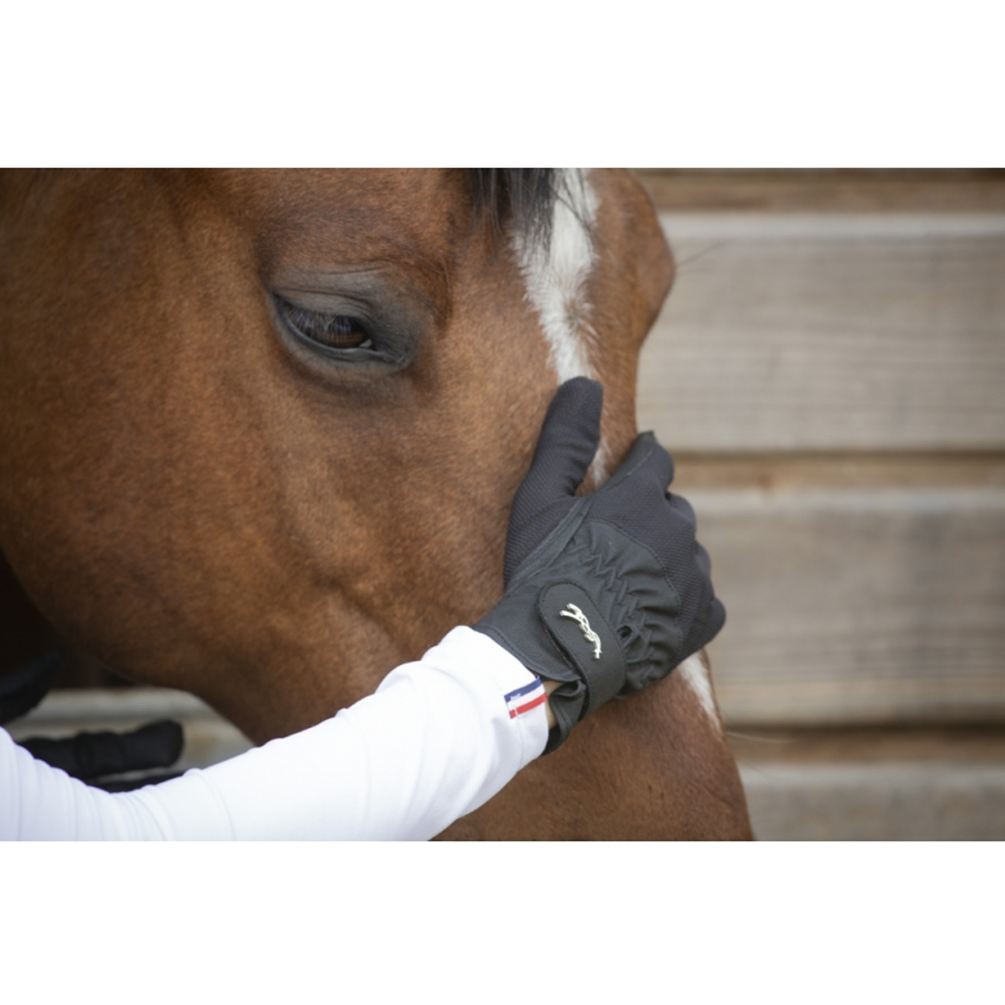 Competition Riding Gloves