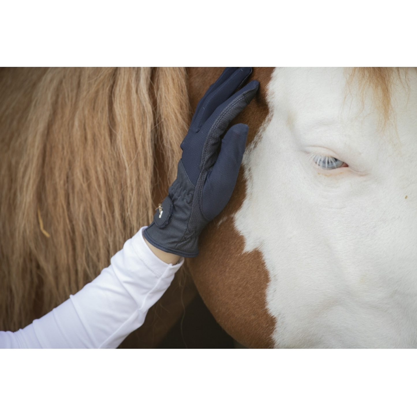 Competition Riding Gloves