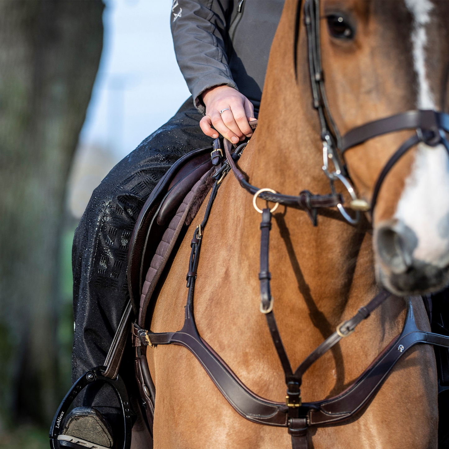 Drytex Stormwear Waterproof Chaps