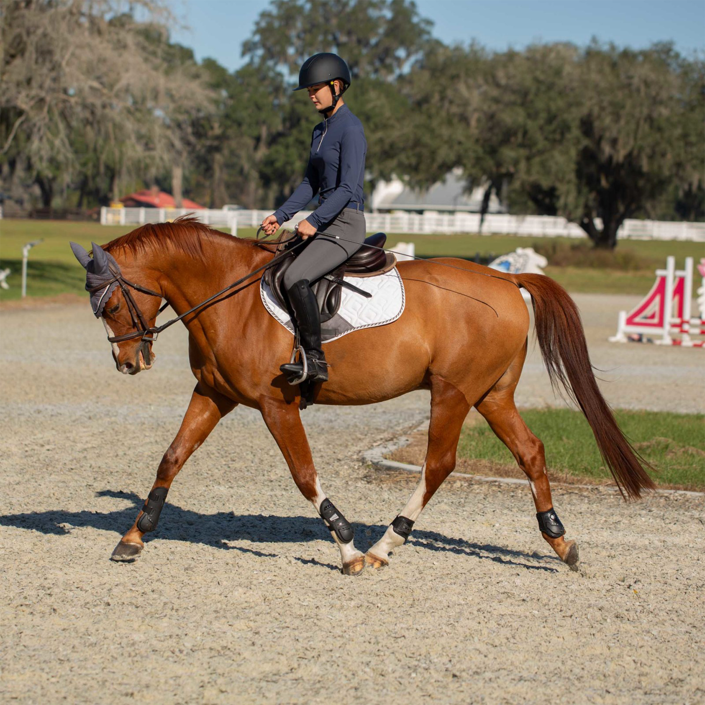 Astrid Silicone Knee Patch Breeches