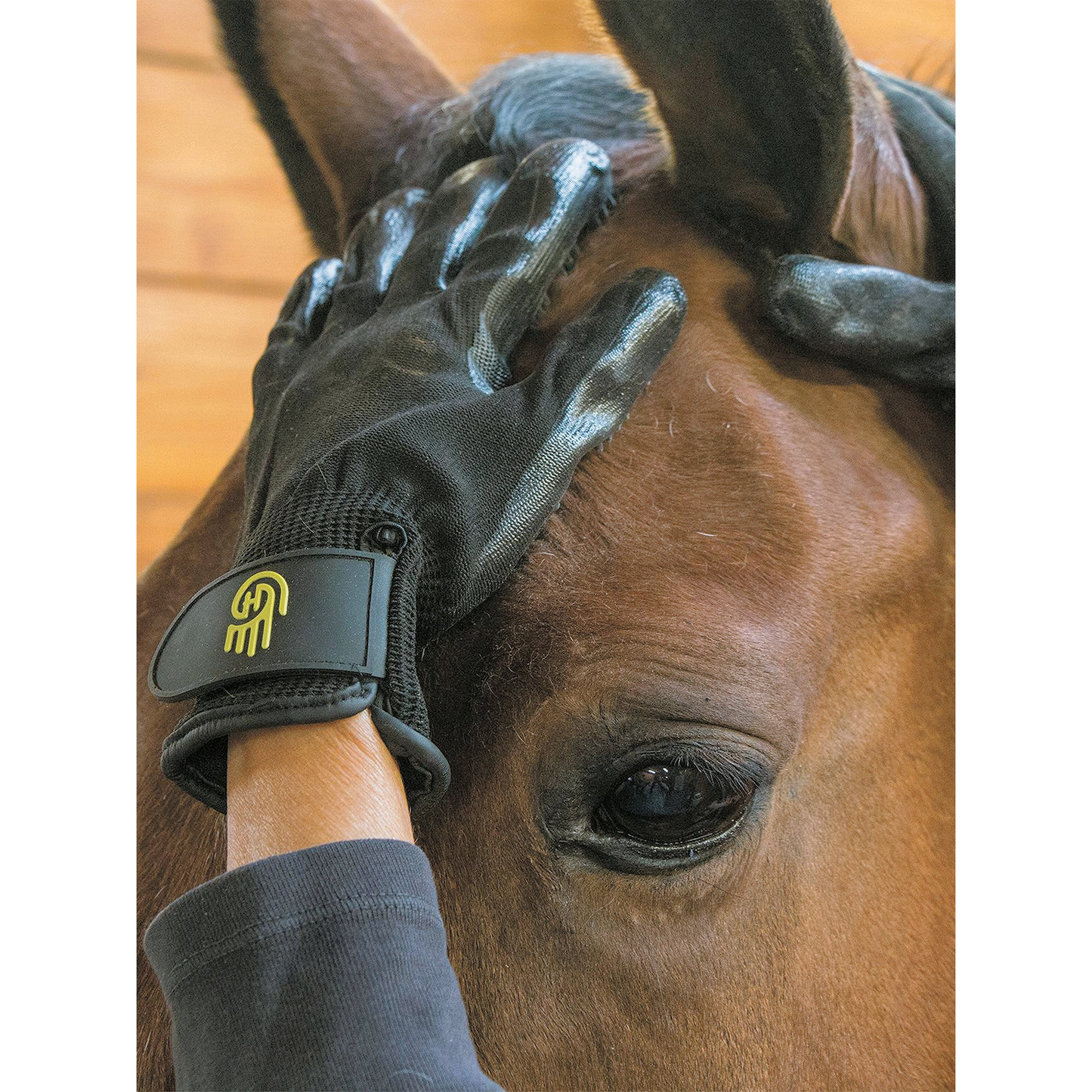 Hands On Glove