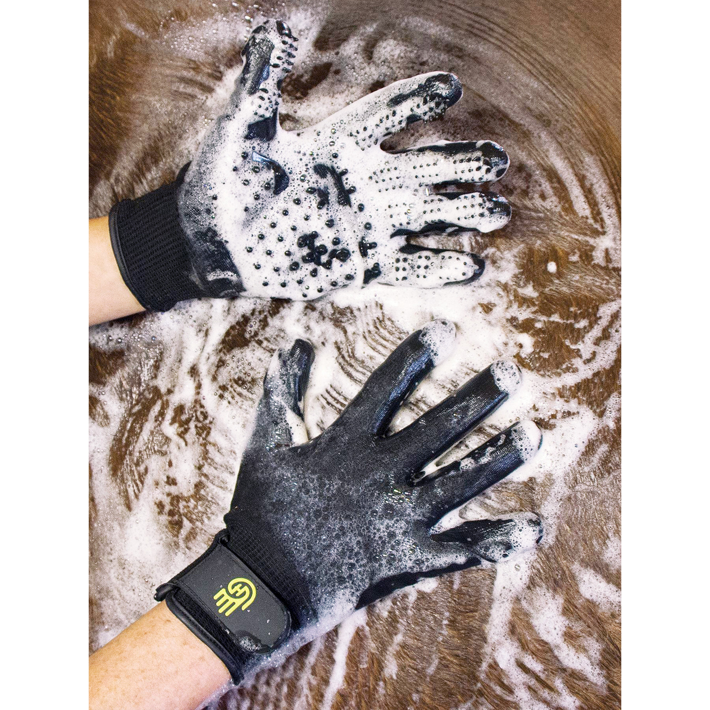 Hands On Glove