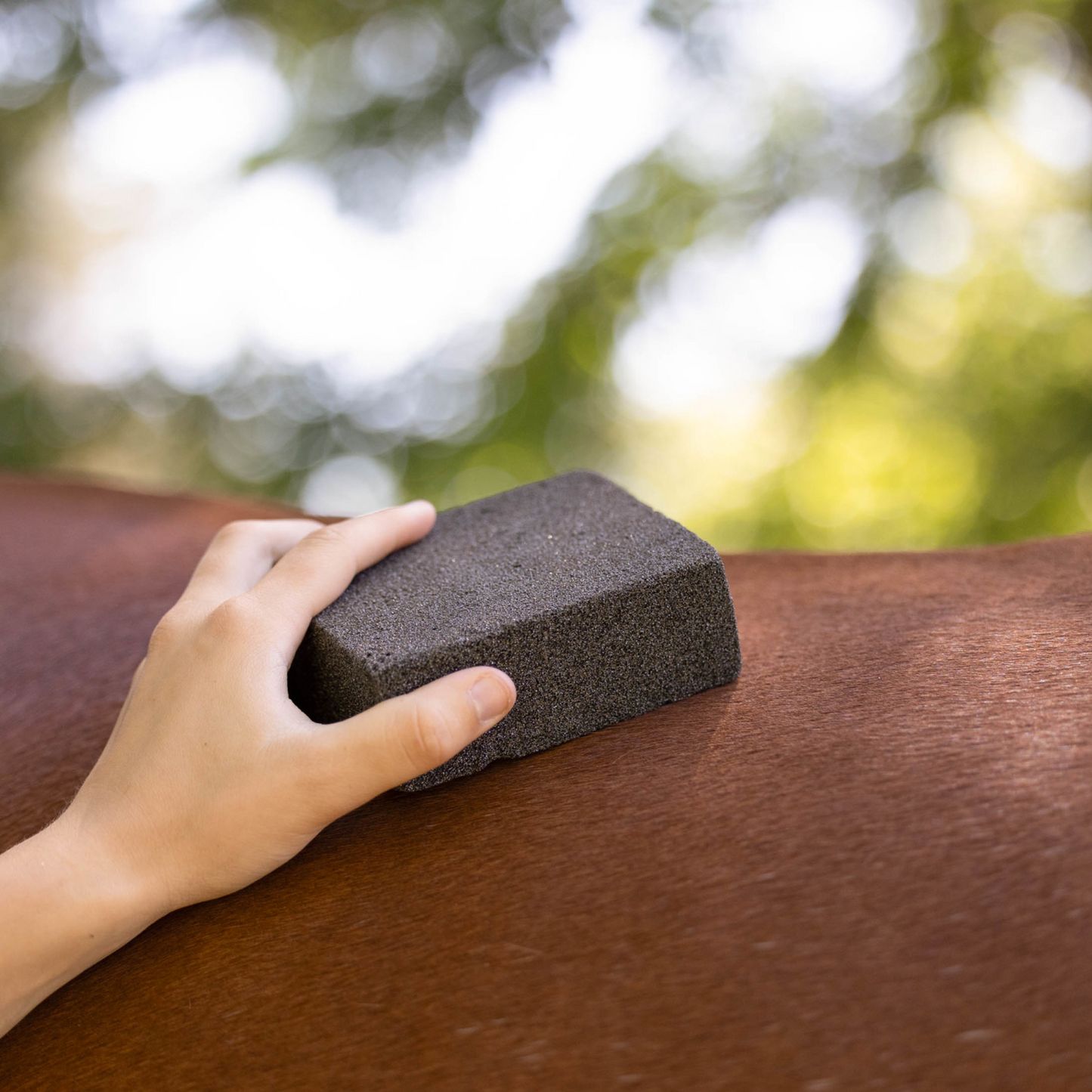 Horze Brush Stone