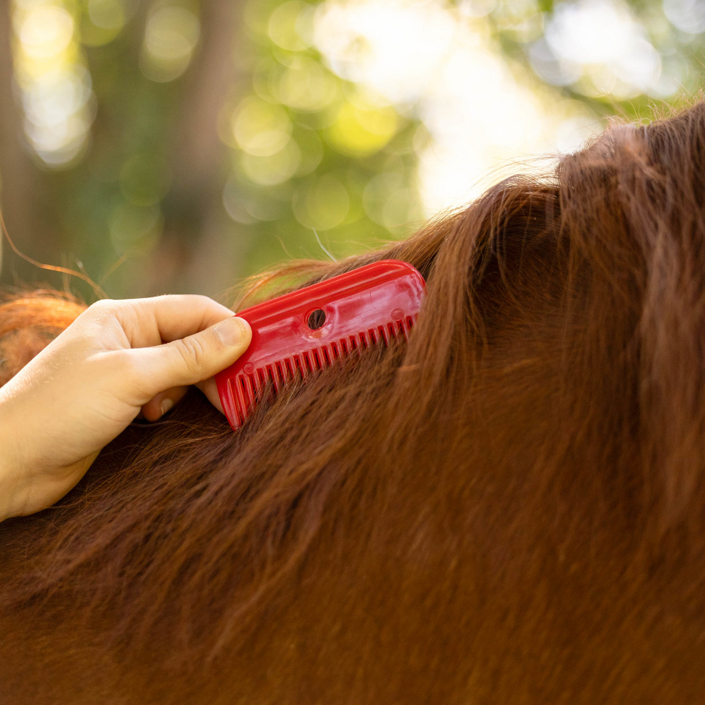 Horze Mane Plastic Comb