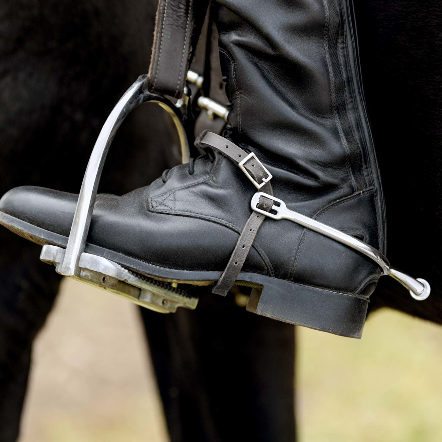 Horze Round Wheel Spurs