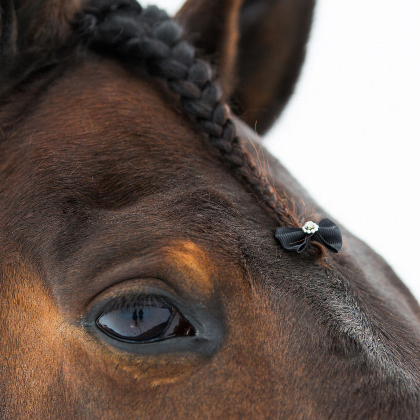 Horze Sparkling Mane Bows