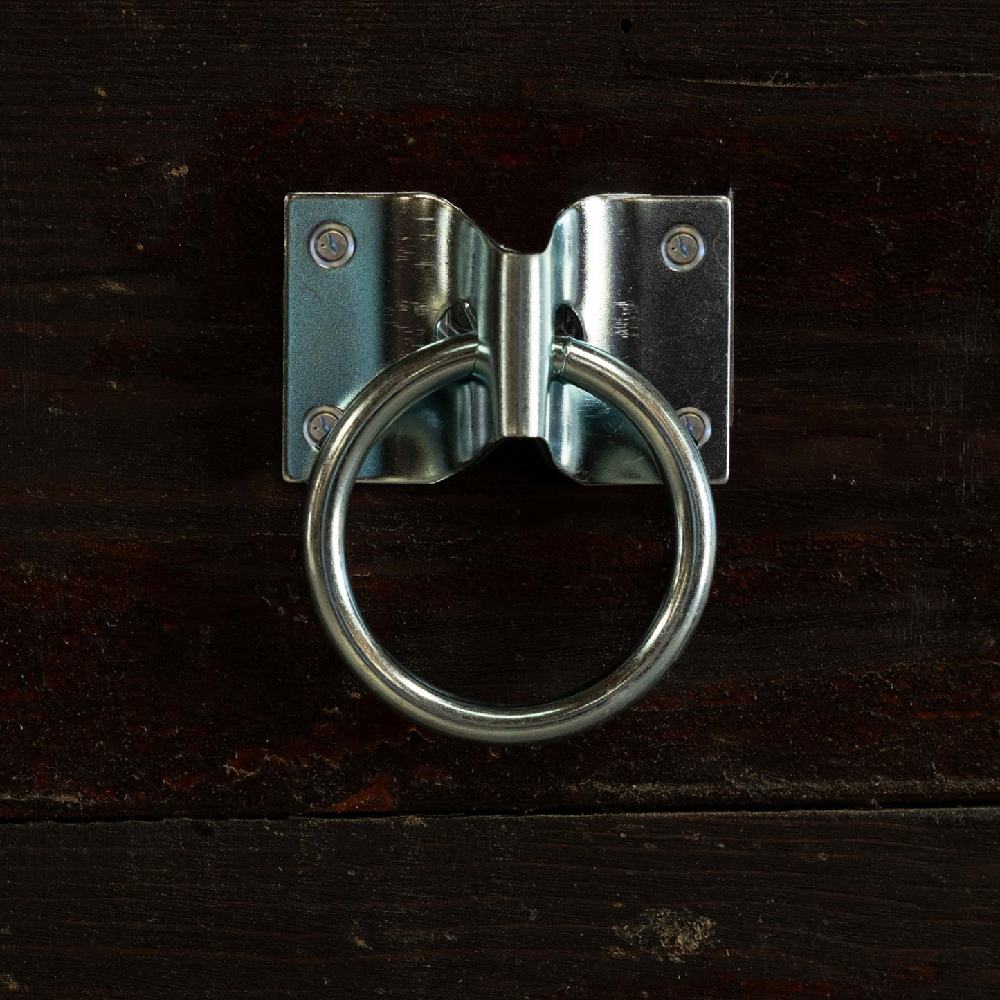 Horze Tie Ring Wall Plate