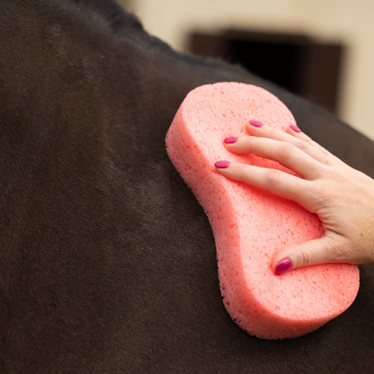 Horze Flat-Packed Sponge