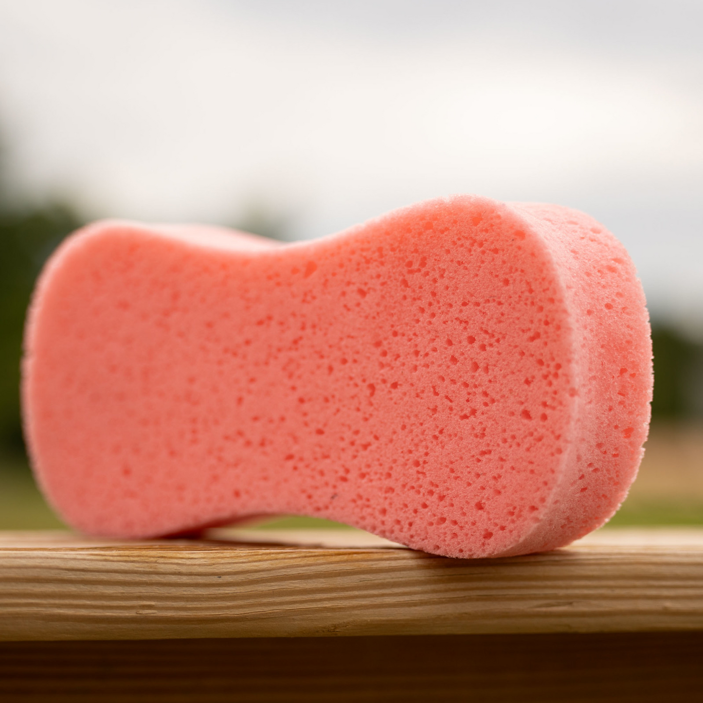 Horze Flat-Packed Sponge