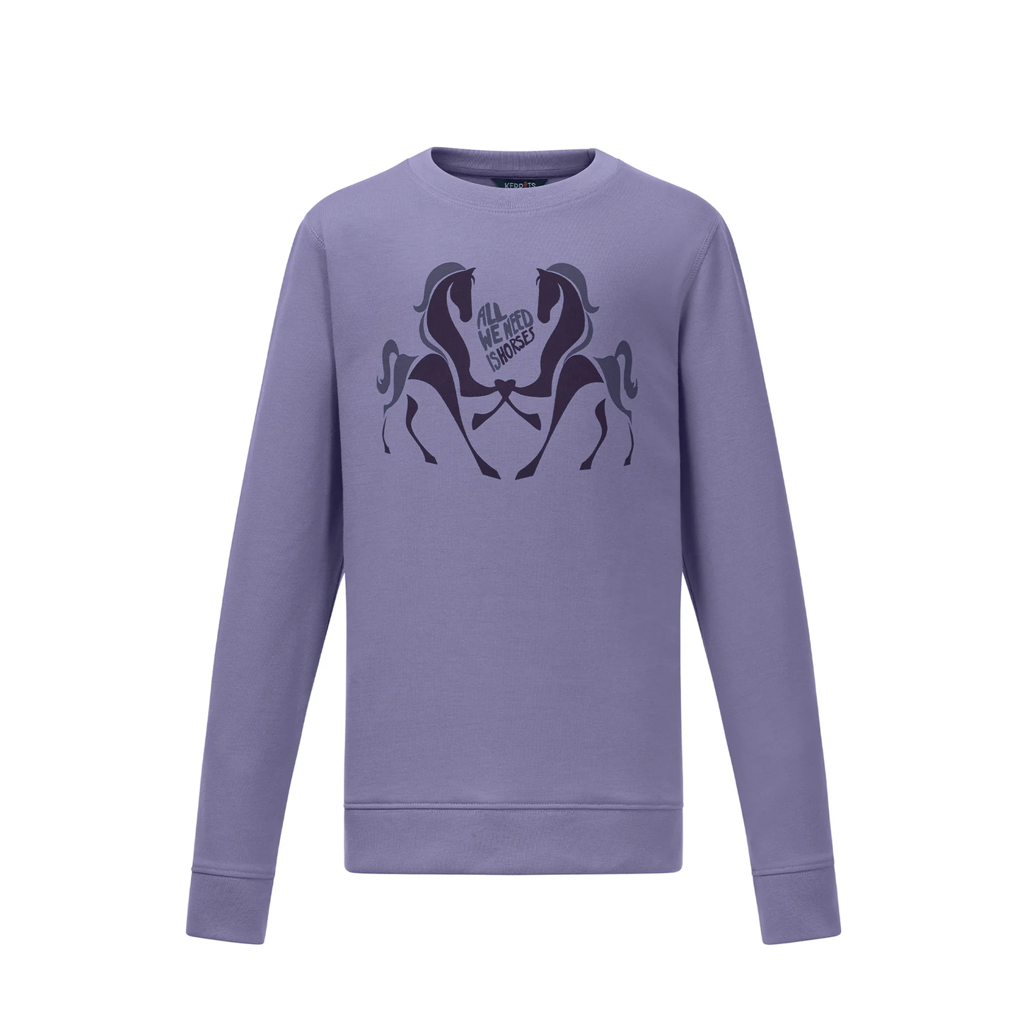Kids All We Need Is Horses Sweatshirt