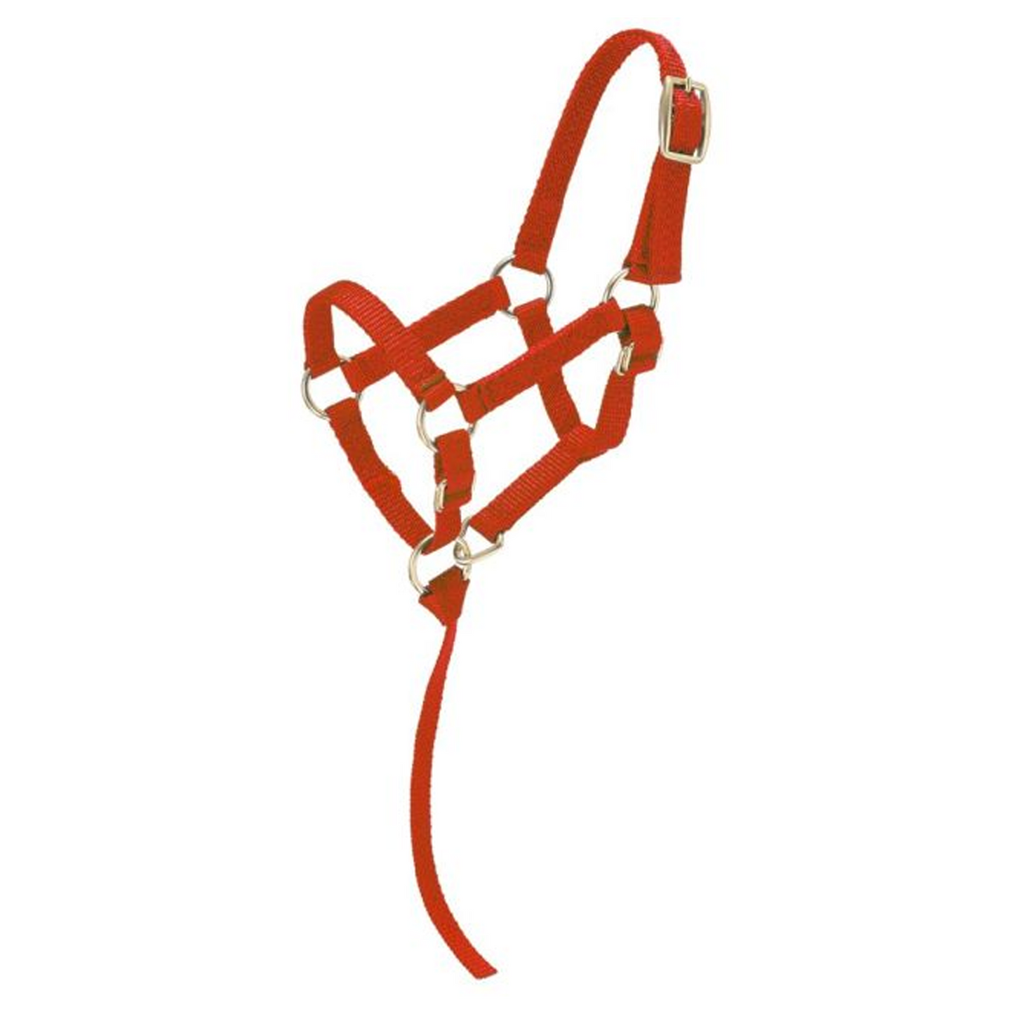 Miniature Nylon Halter