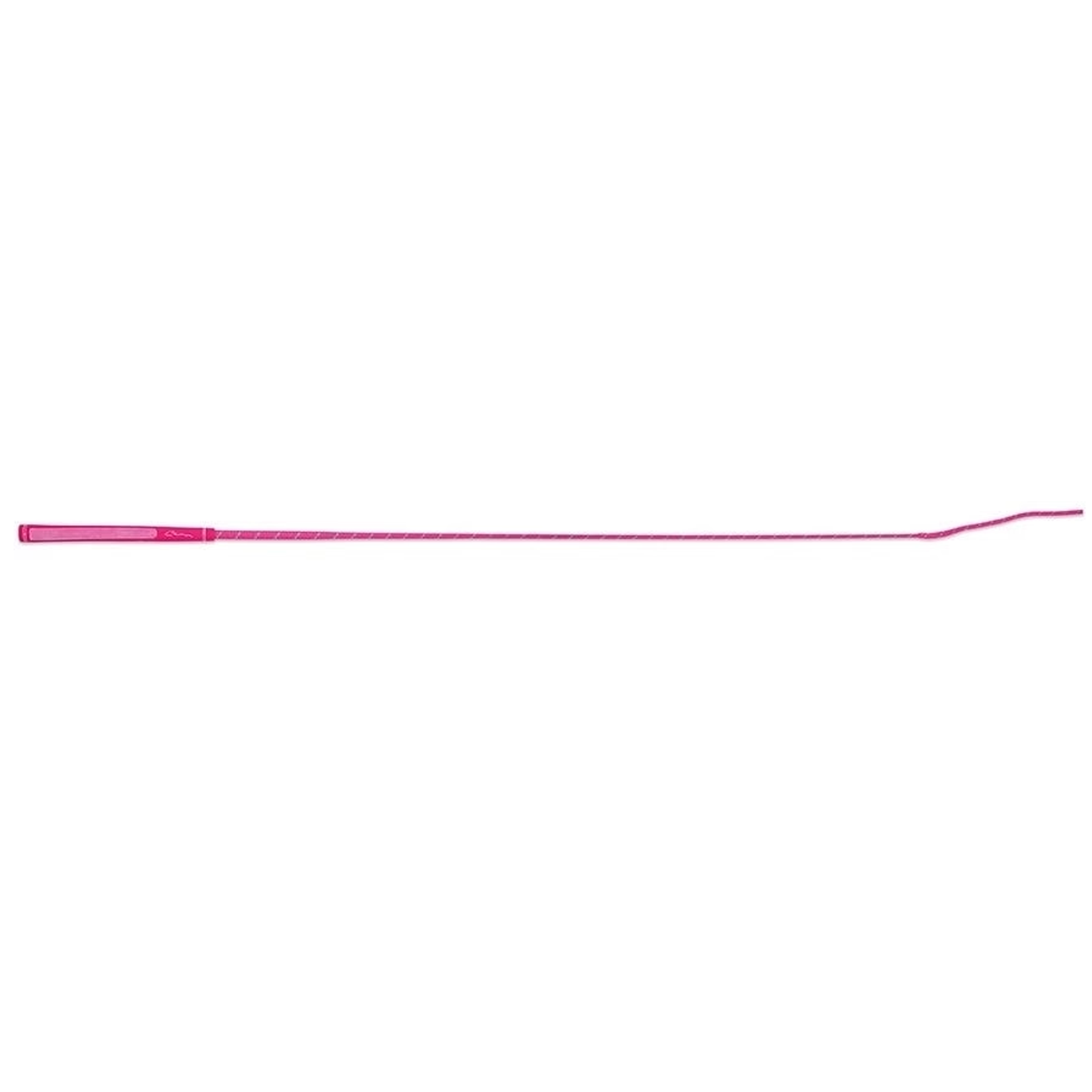Rainbow Schooling Whip