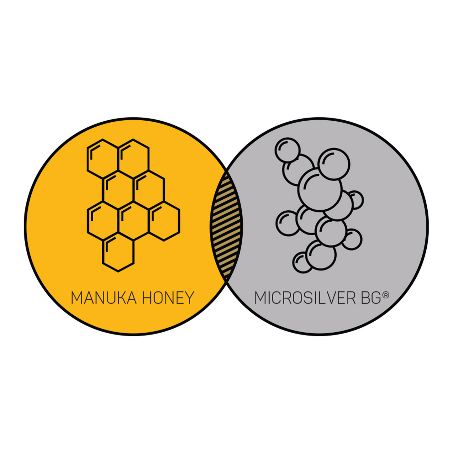 Silver Honey Hygienic Shampoo