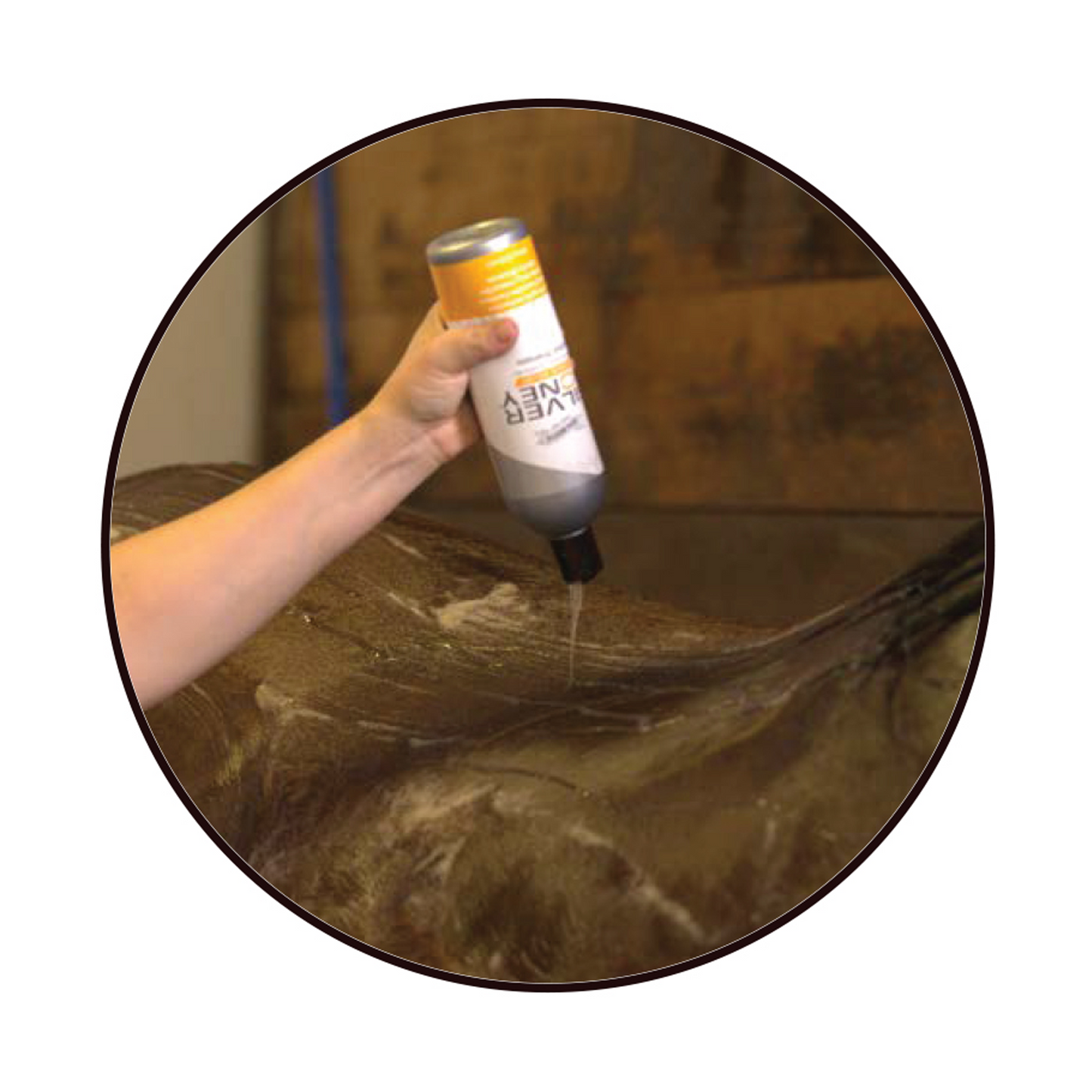 Silver Honey Hygienic Shampoo