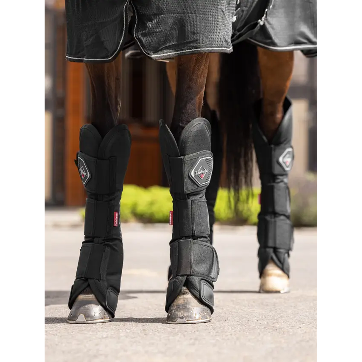 Travel Boots