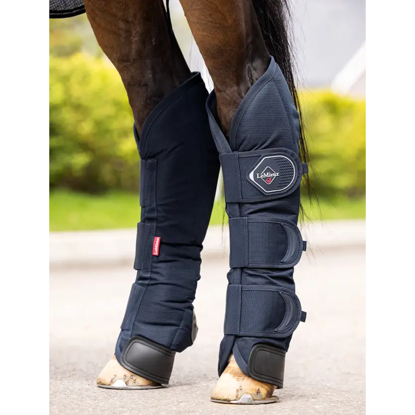 Travel Boots