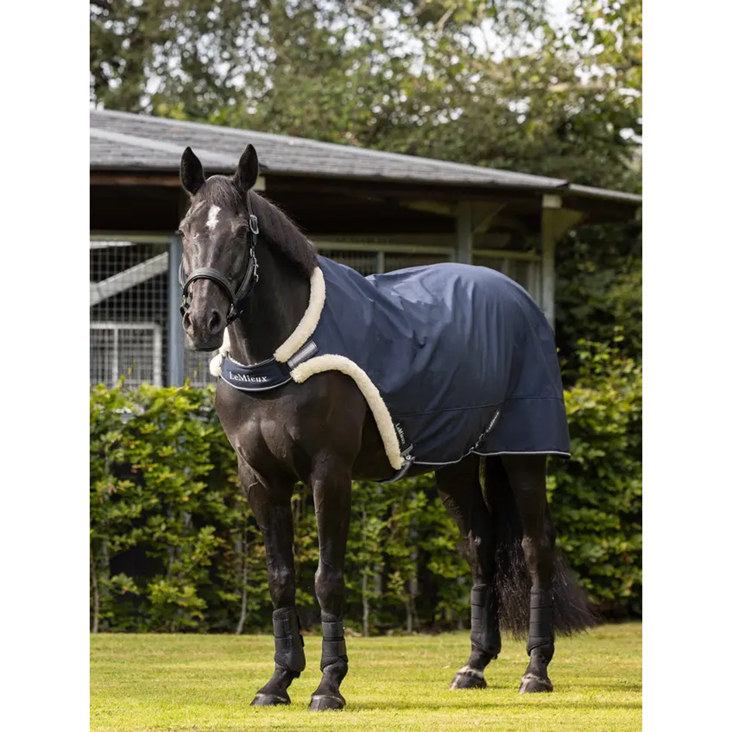 Walker Rug