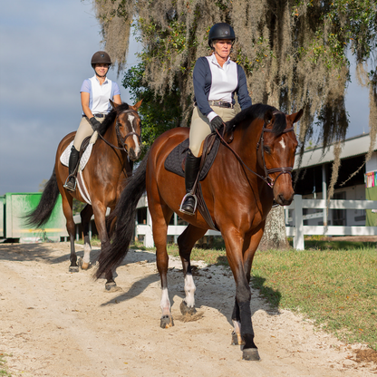 Maud Show Knee Patch Breeches