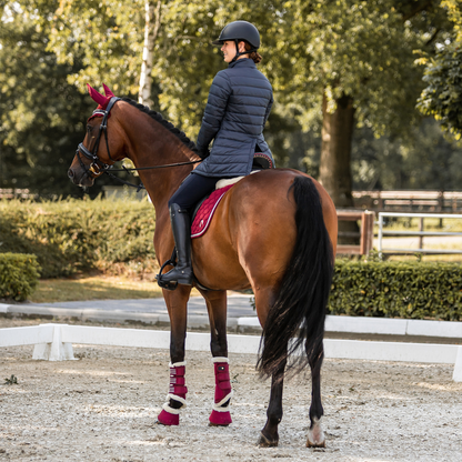 Horze Isabella 3-in-1 Jacket