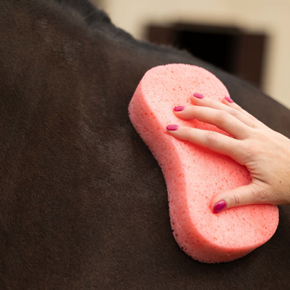 Horze Flat-Packed Sponge