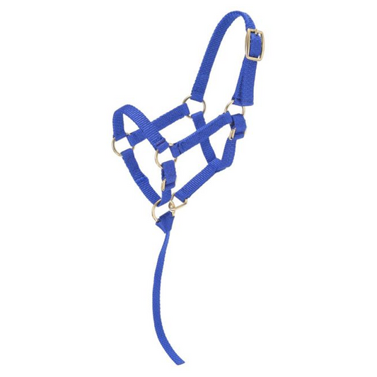 Miniature Nylon Halter