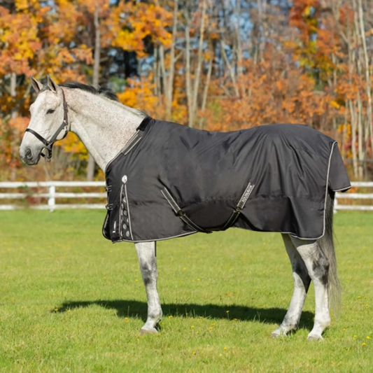 Norse Mid-Heavy Weight Turnout Blanket