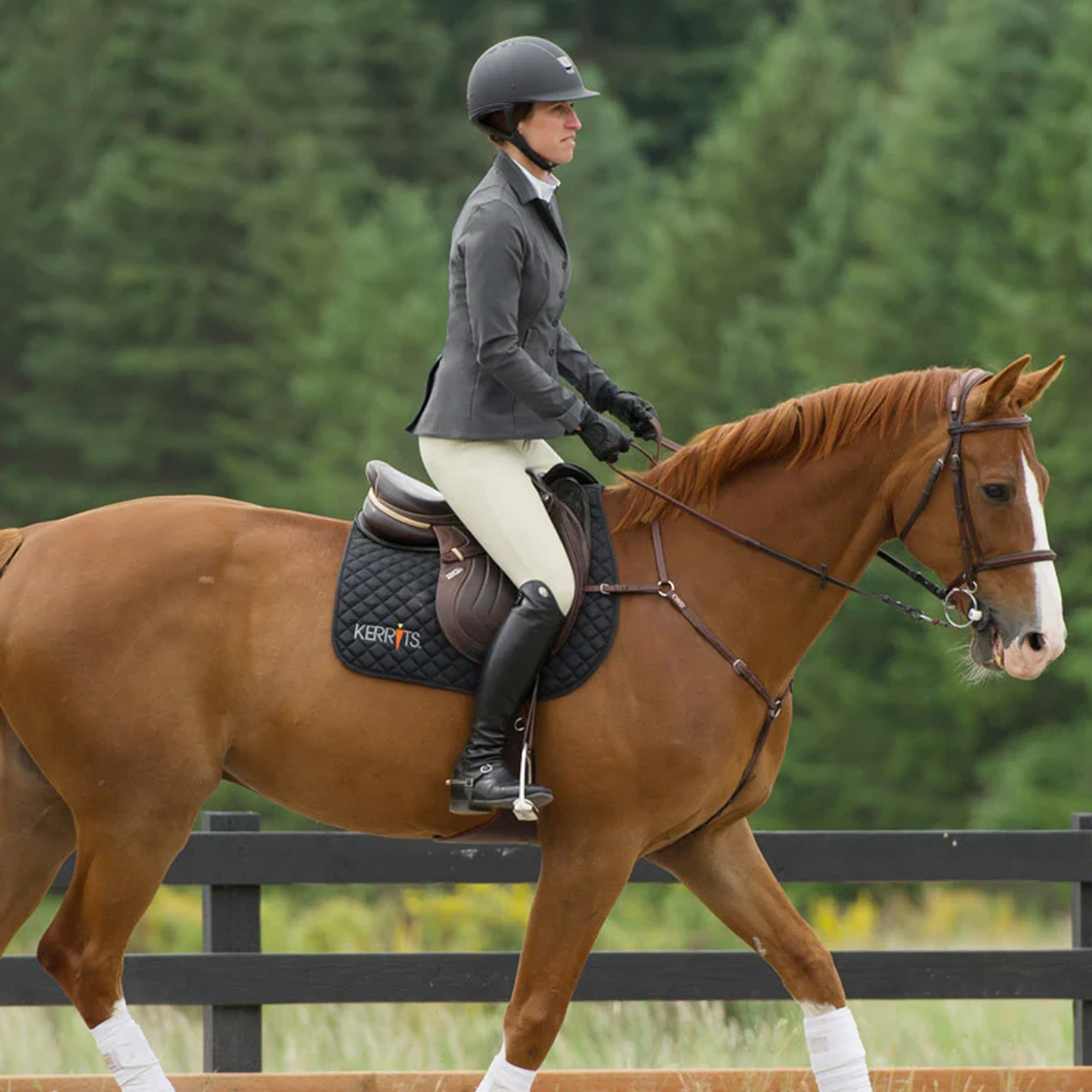 Stretch 4 Snap Competitor Show Coat