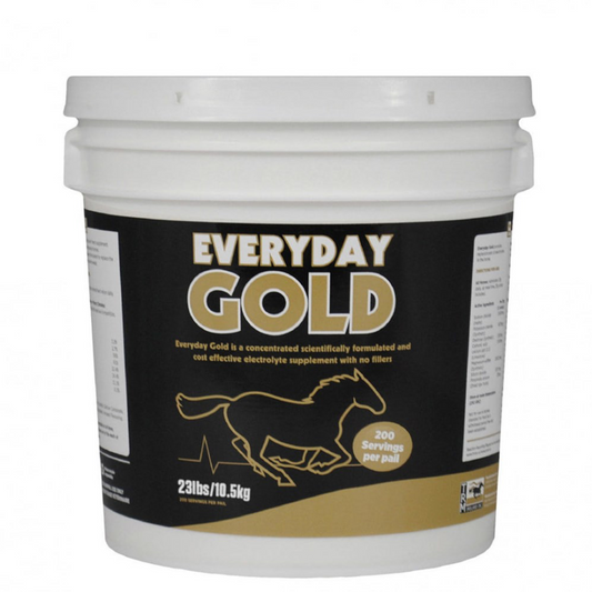 TRM Everyday Gold