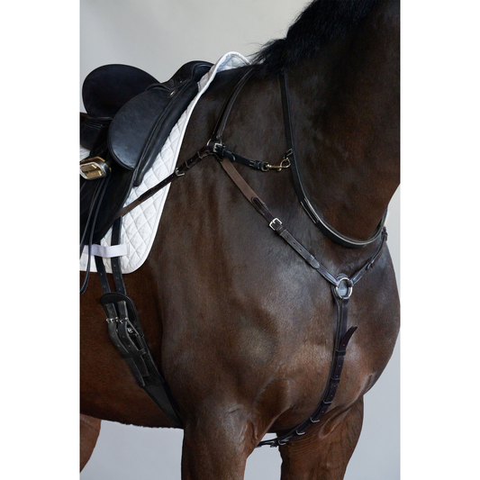 Neck Strap & Attachments