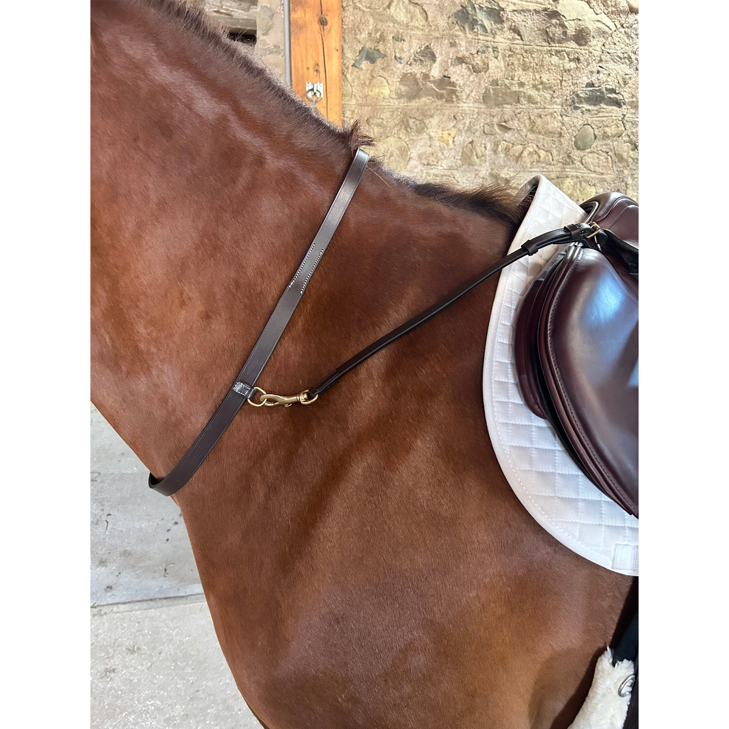 Neck Strap & Attachments