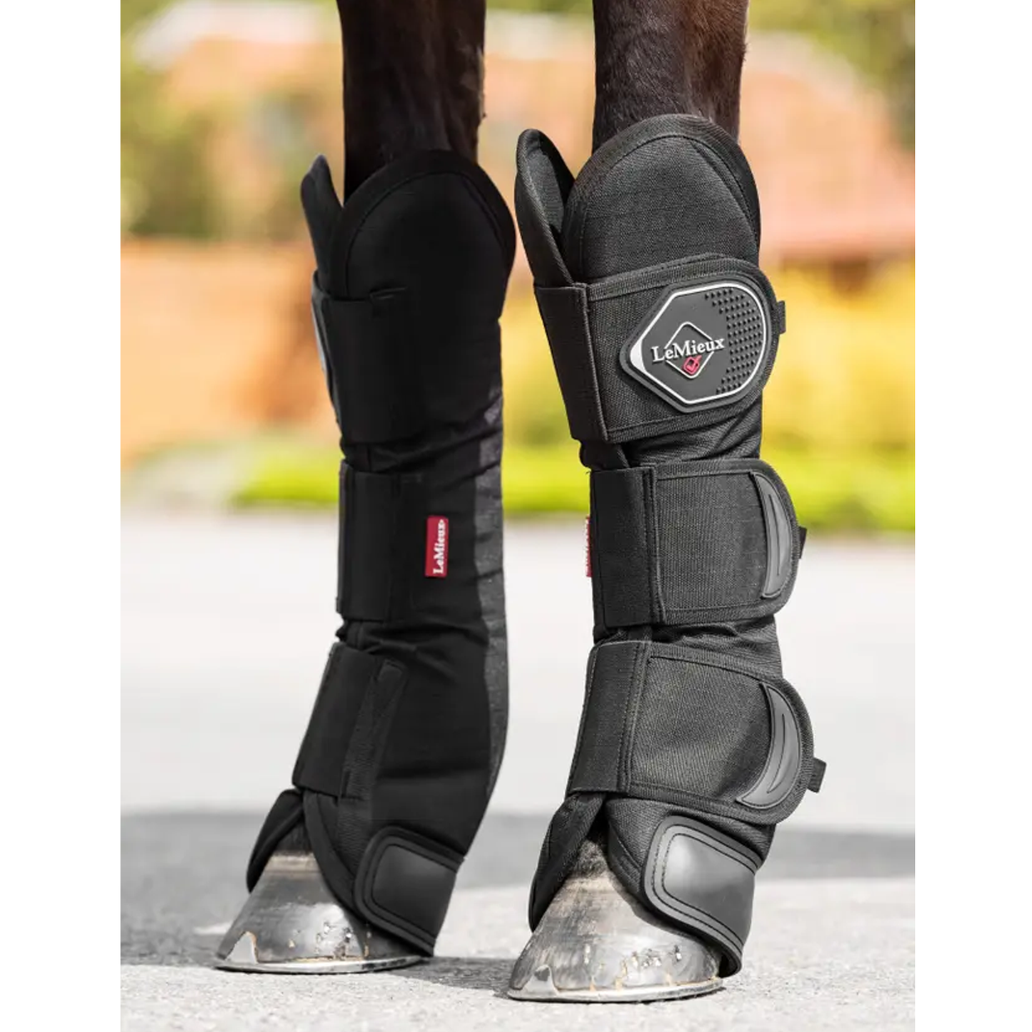 Travel Boots